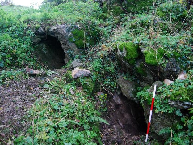 Пещера Киллура, графство Лимерик, Ирландия